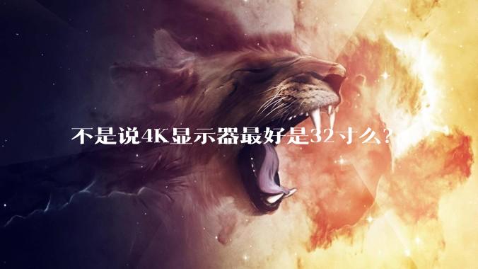 不是说4K显示器最好是32寸么？