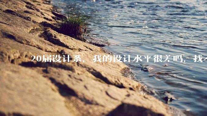 20届设计系，我的设计水平很差吗，找不到合适的工作?