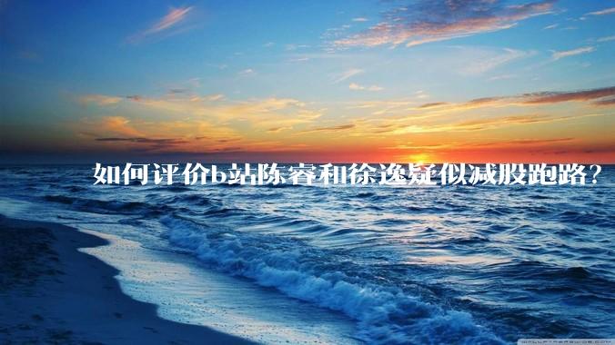 如何评价b站陈睿和徐逸疑似减股跑路？