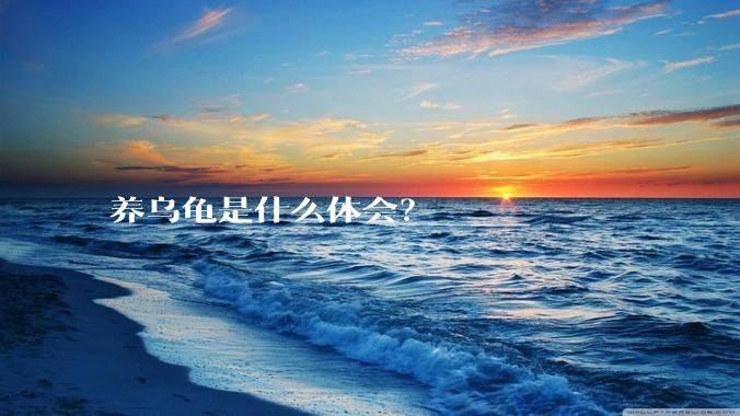 养乌龟是什么体会？