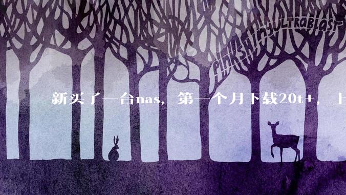 新买了一台nas，第一个月下载20t+，上传5+，不会被网警盯上吧?
