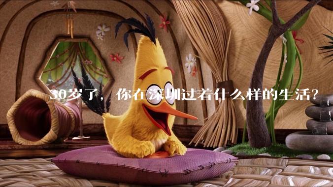 30岁了，你在深圳过着什么样的生活？